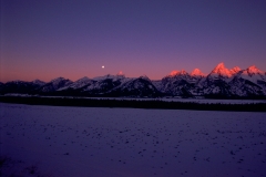 Moonlight Sunrise Grand Teton National Park Wyoming.