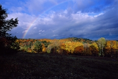Rainbow Forest Danville Vermont